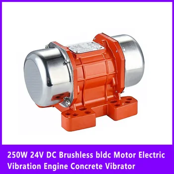 250 Вт 24 В постоянного тока Бесщеточный двигатель bldc Электрический вибрационный двигатель Бетонный вибратор Высокочастотный вибратор